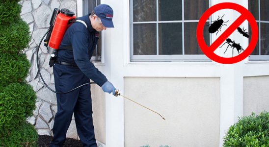 Düziçi Hamam Böceği İlaçlama böcek ilaçlama ve haşere kontrolü — ilaclama-tr.com